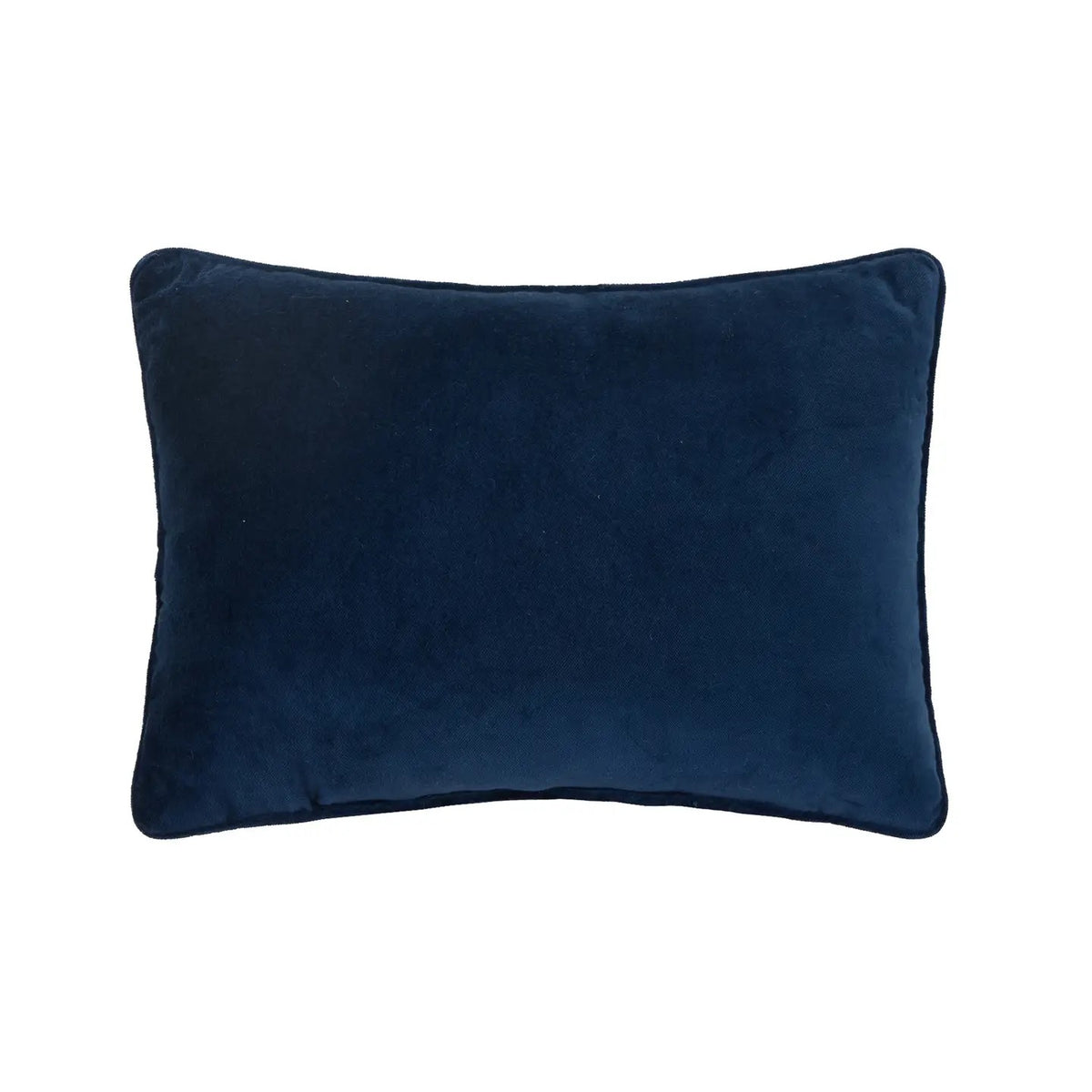 Sassy Classy Pillow