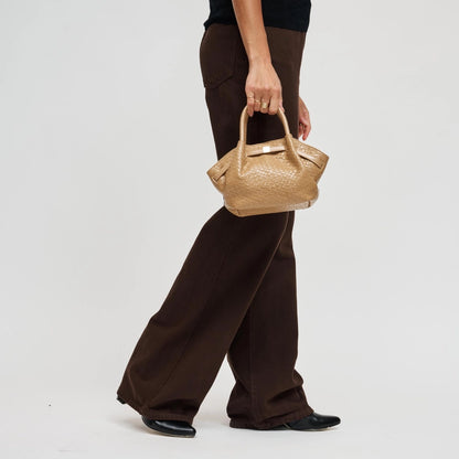 Neutral Handbag
